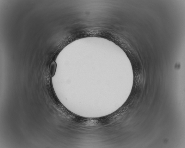 X0000096650609200803041151