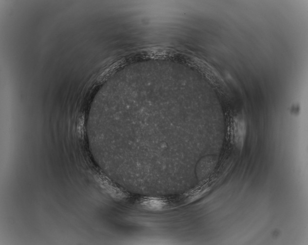 X0000096650610200803041151