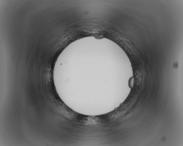 X0000096650612200803041151