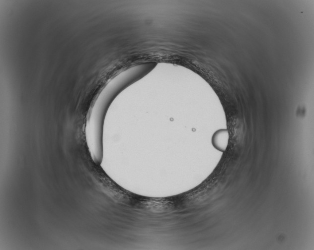 X0000096650615200803041151