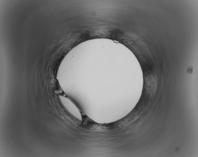 X0000096650617200803041151