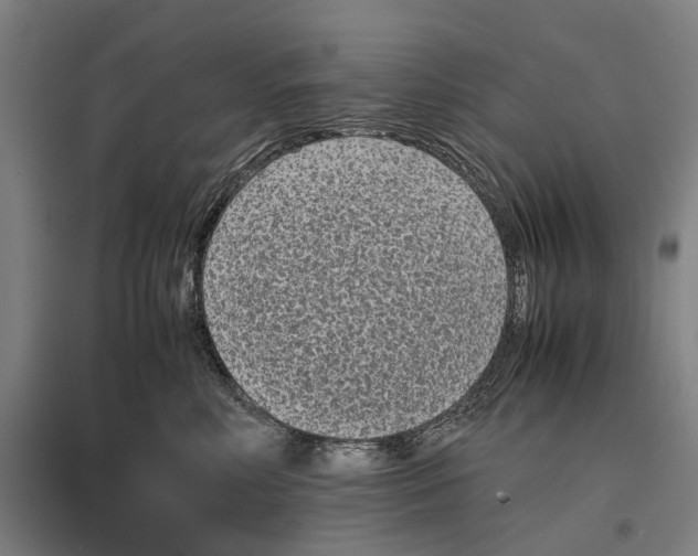 X0000096650618200803041151