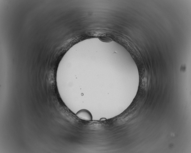 X0000096650620200803041150