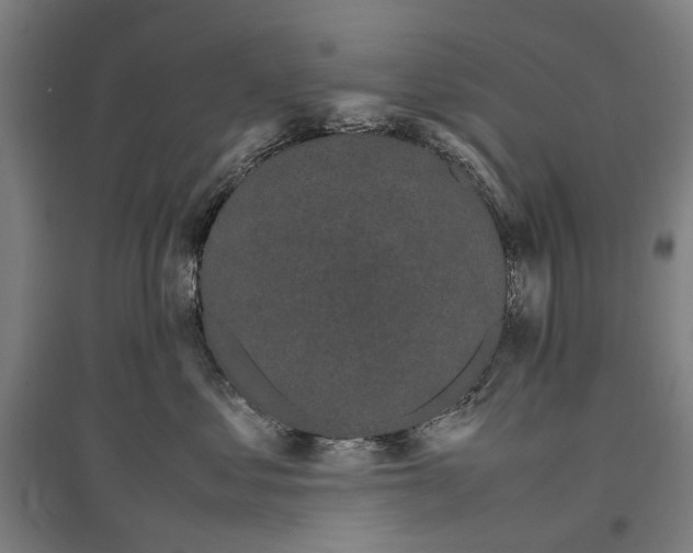 X0000096650621200803041150