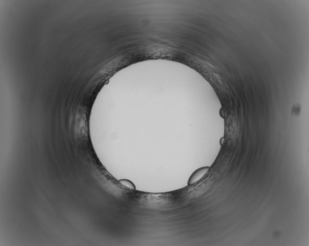 X0000096650622200803041150