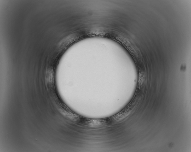 X0000096650623200803041150