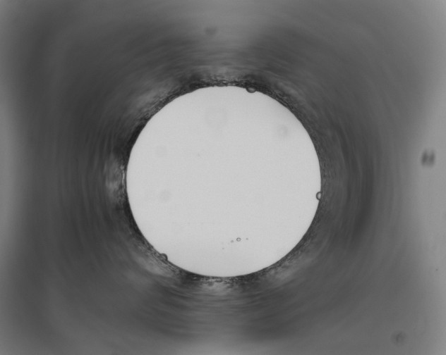 X0000096650624200803041150