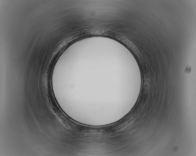 X0000096650626200803041150