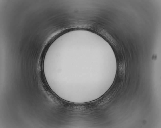 X0000096650628200803041150