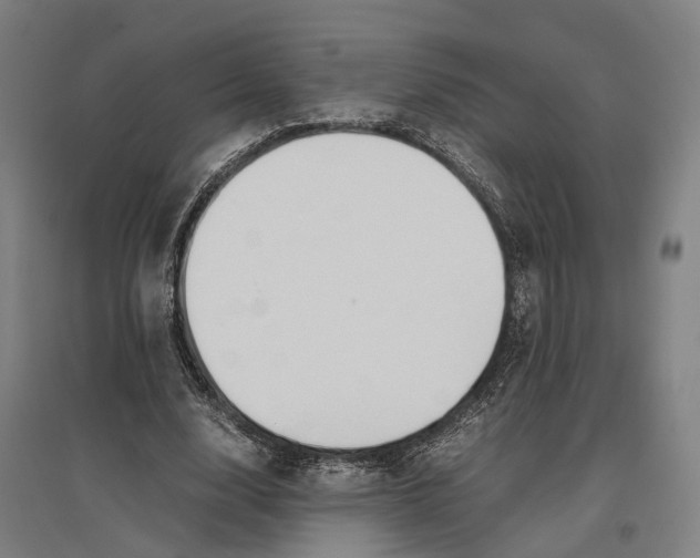 X0000096650632200803041150