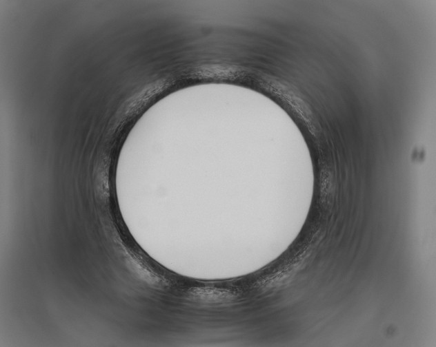 X0000096650633200803041150