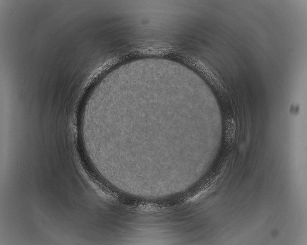 X0000096650634200803041150