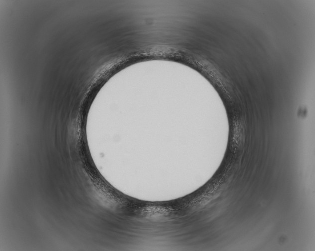 X0000096650636200803041150