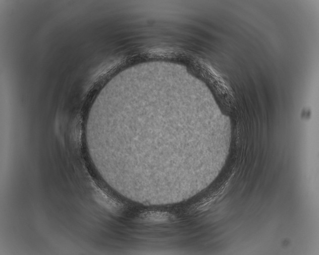 X0000096650637200803041150