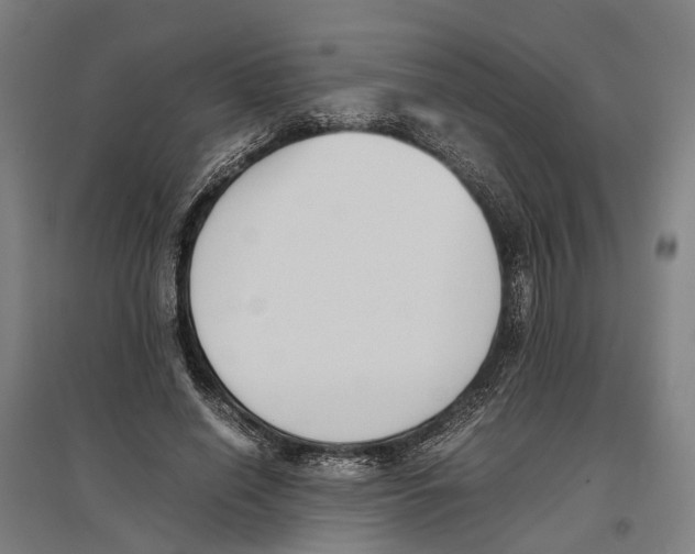 X0000096650638200803041150