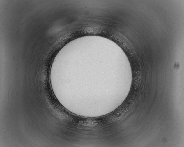 X0000096650639200803041150