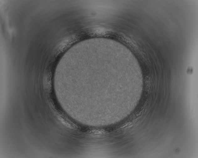 X0000096650642200803041150