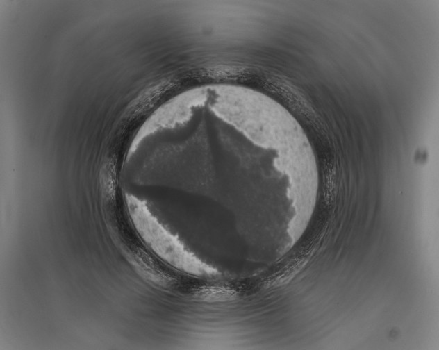 X0000096650644200803041150