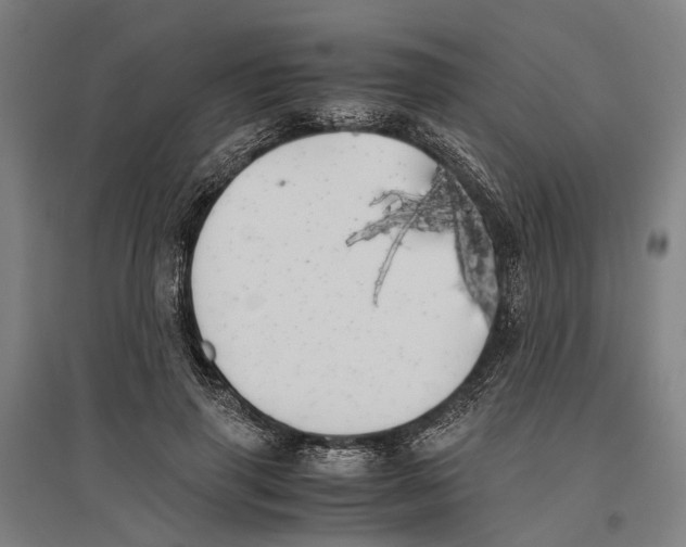 X0000096650645200803041150