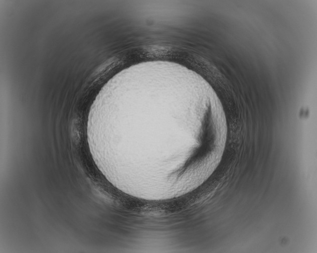 X0000096650648200803041150