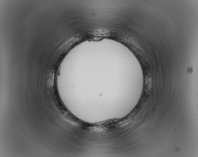 X0000096650652200803041150