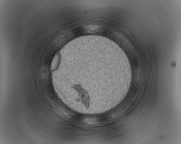 X0000096650653200803041150