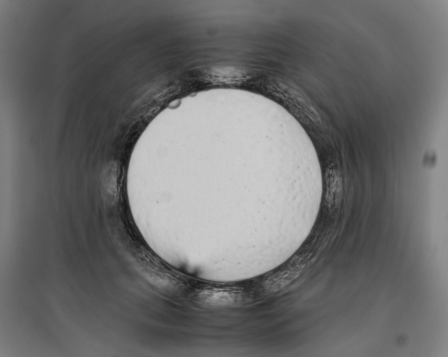 X0000096650655200803041150