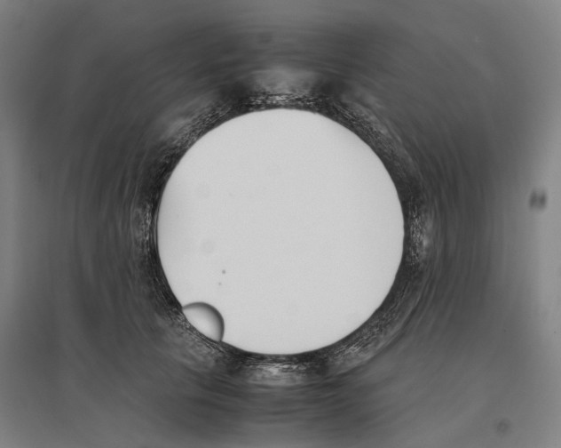 X0000096650657200803041150