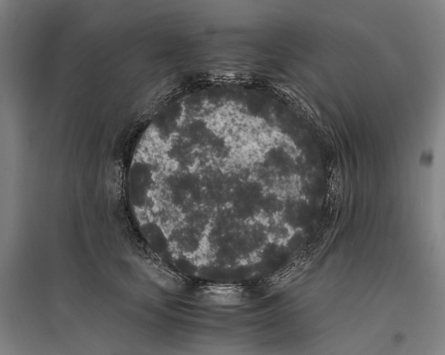 X0000096650659200803041150