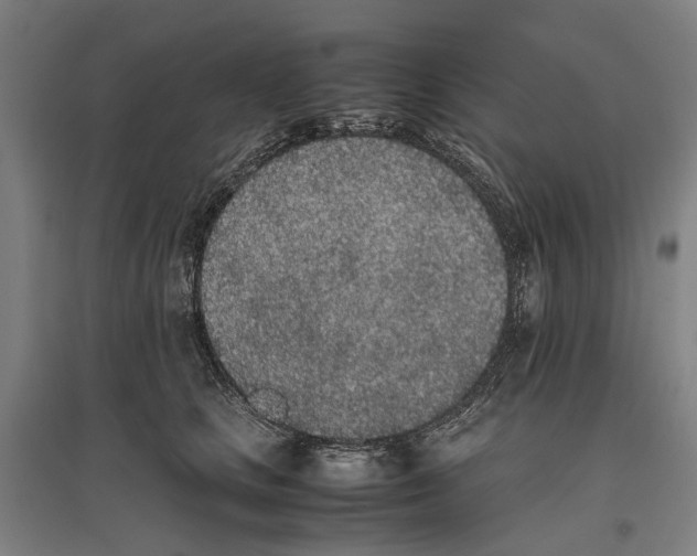 X0000096650661200803041150