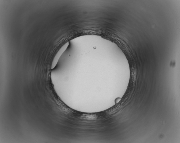 X0000096650665200803041150