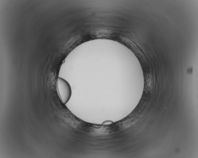 X0000096650667200803041150