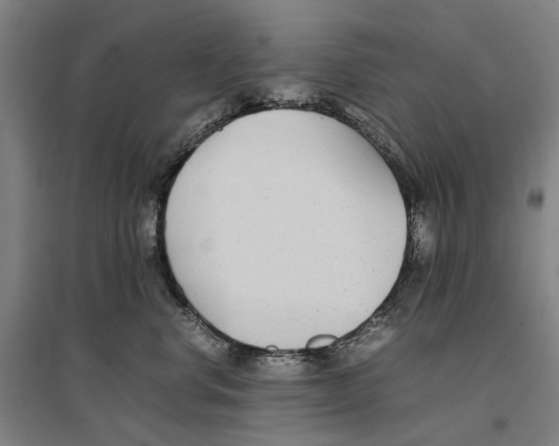 X0000096650668200803041150