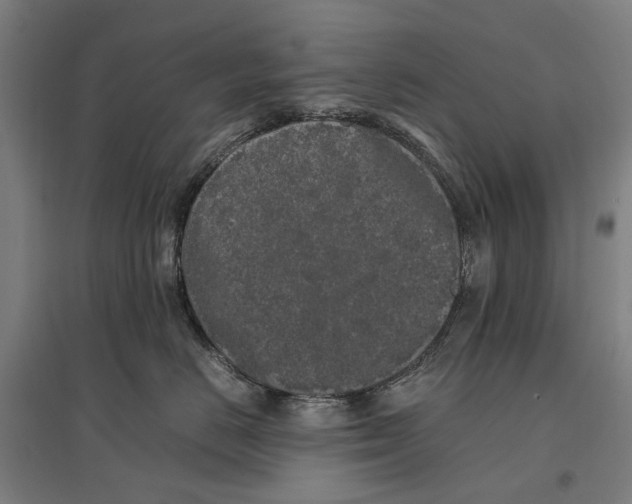 X0000096650670200803041150