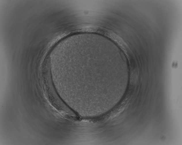 X0000096650673200803041150