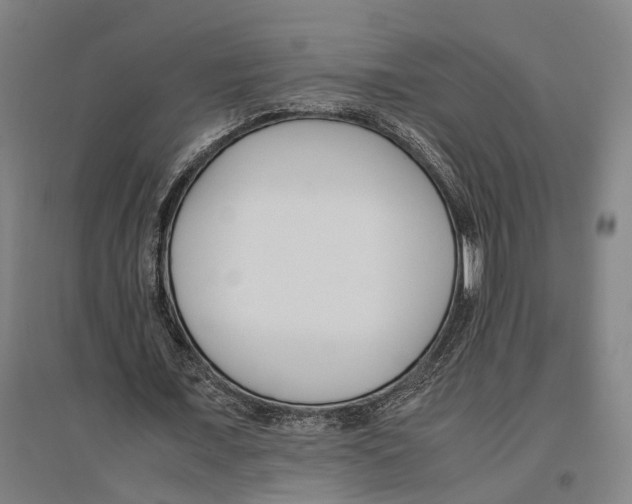 X0000096650675200803041150