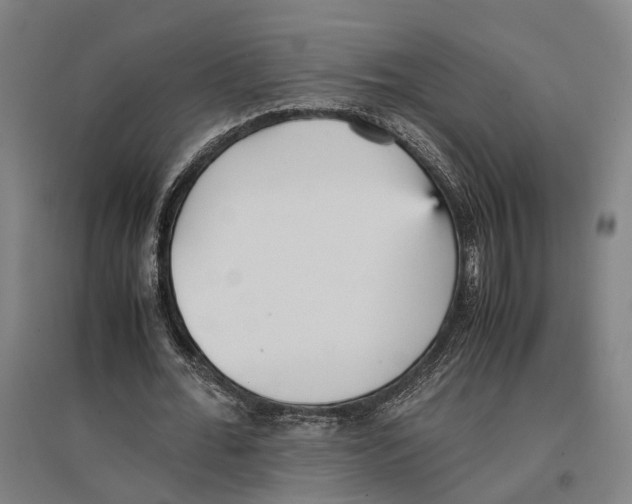 X0000096650676200803041150