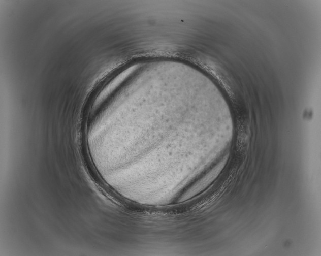 X0000096650677200803041150