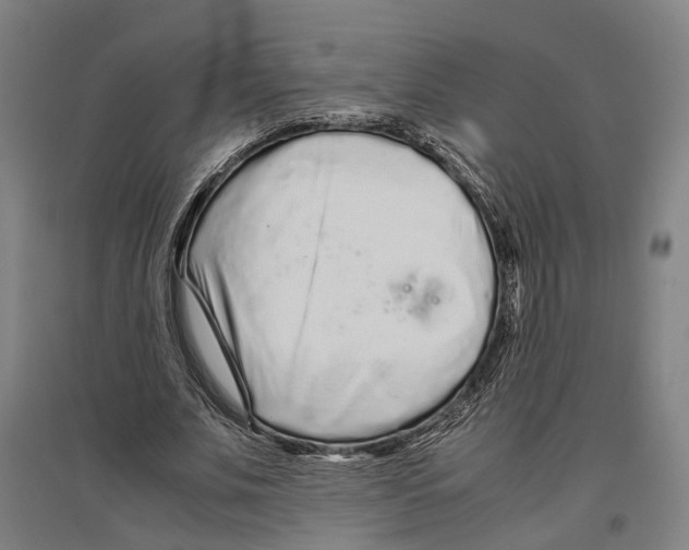 X0000096650679200803041150