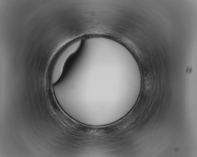 X0000096650680200803041150