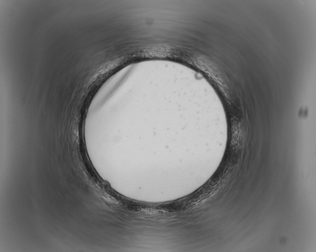 X0000096650681200803041150