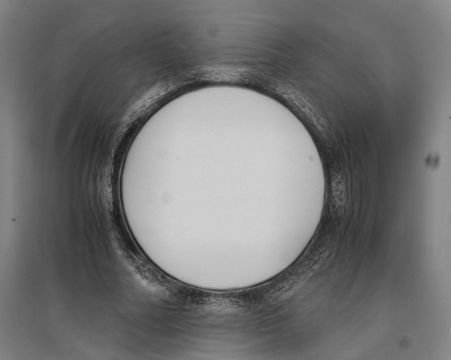 X0000096650682200803041150