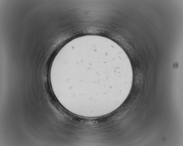 X0000096650683200803041150