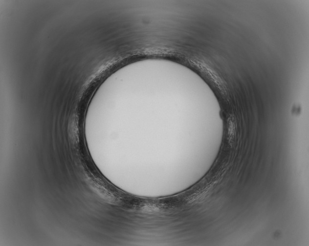 X0000096650684200803041150