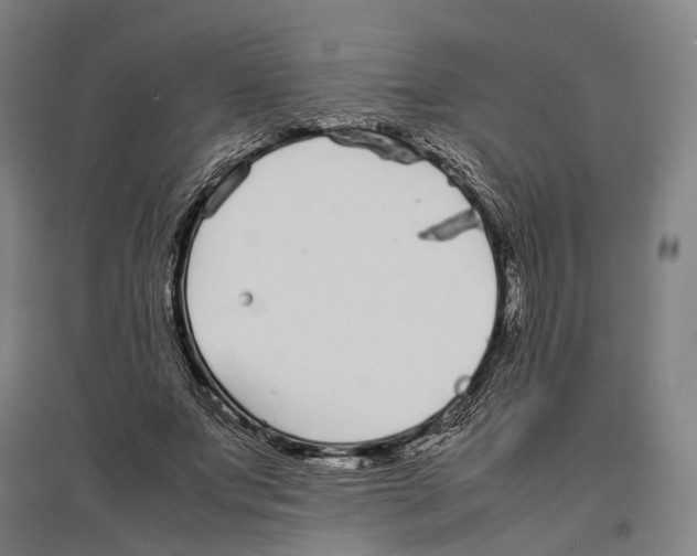 X0000096650687200803041150