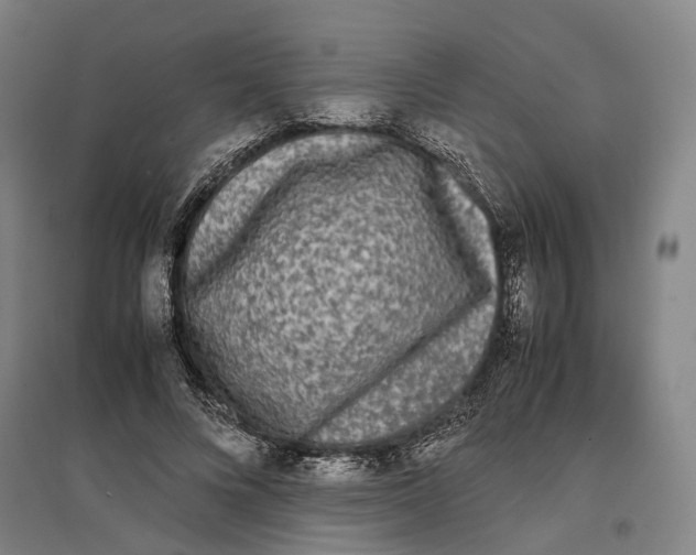 X0000096650688200803041150