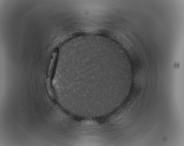 X0000096650689200803041150