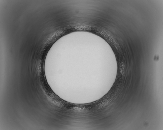 X0000096650690200803041150