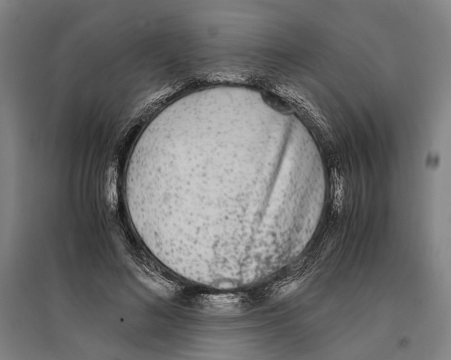 X0000096650692200803041149