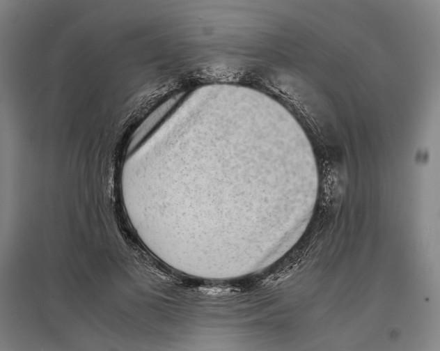 X0000096650693200803041149